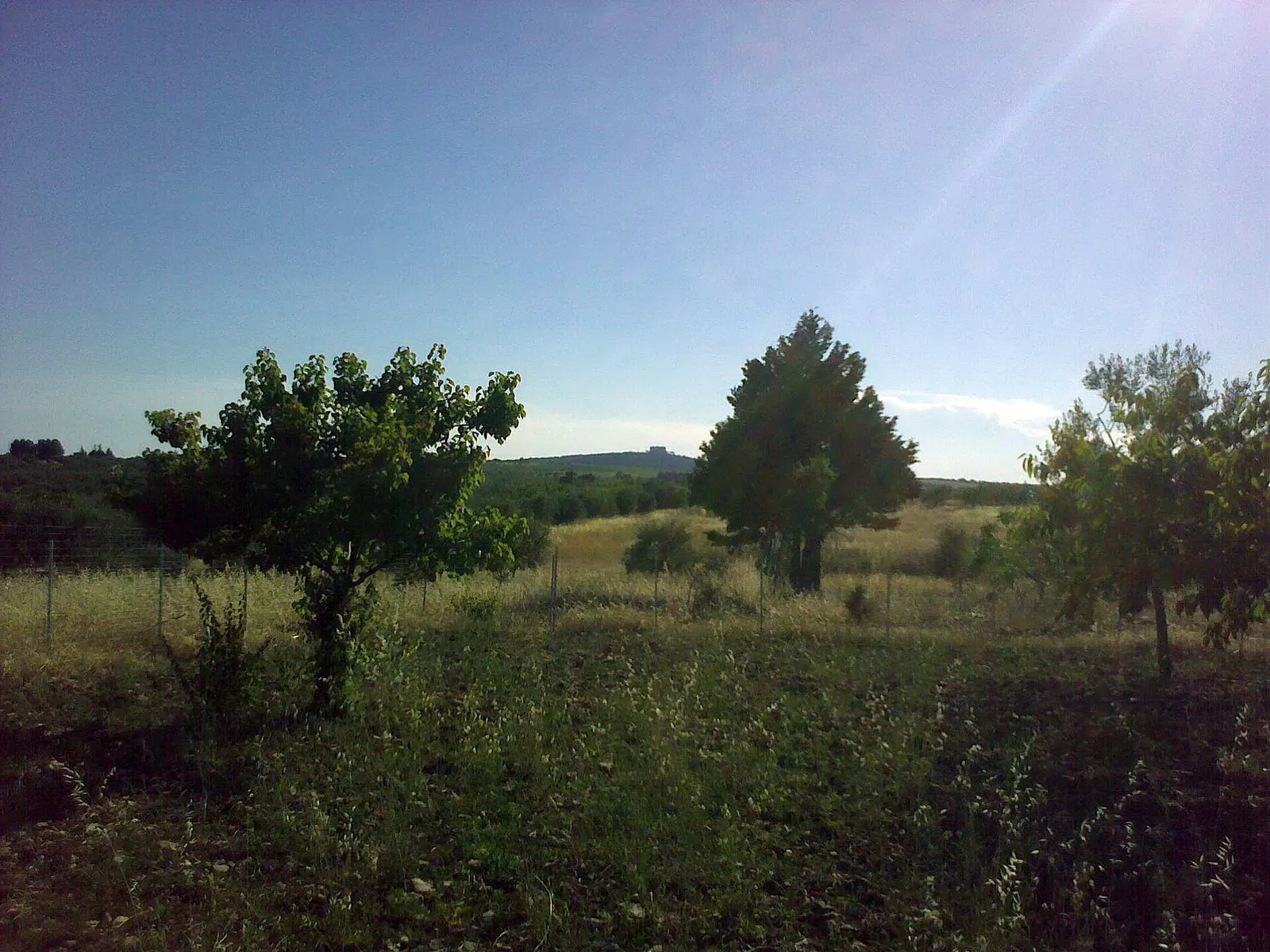 Veduta di Andria
